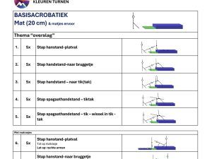Trainingsprogramma basisacrobatiek & een mat